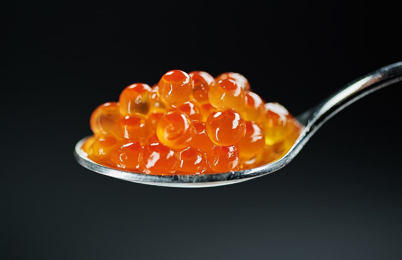 Œufs de saumon, source de vitamine B12