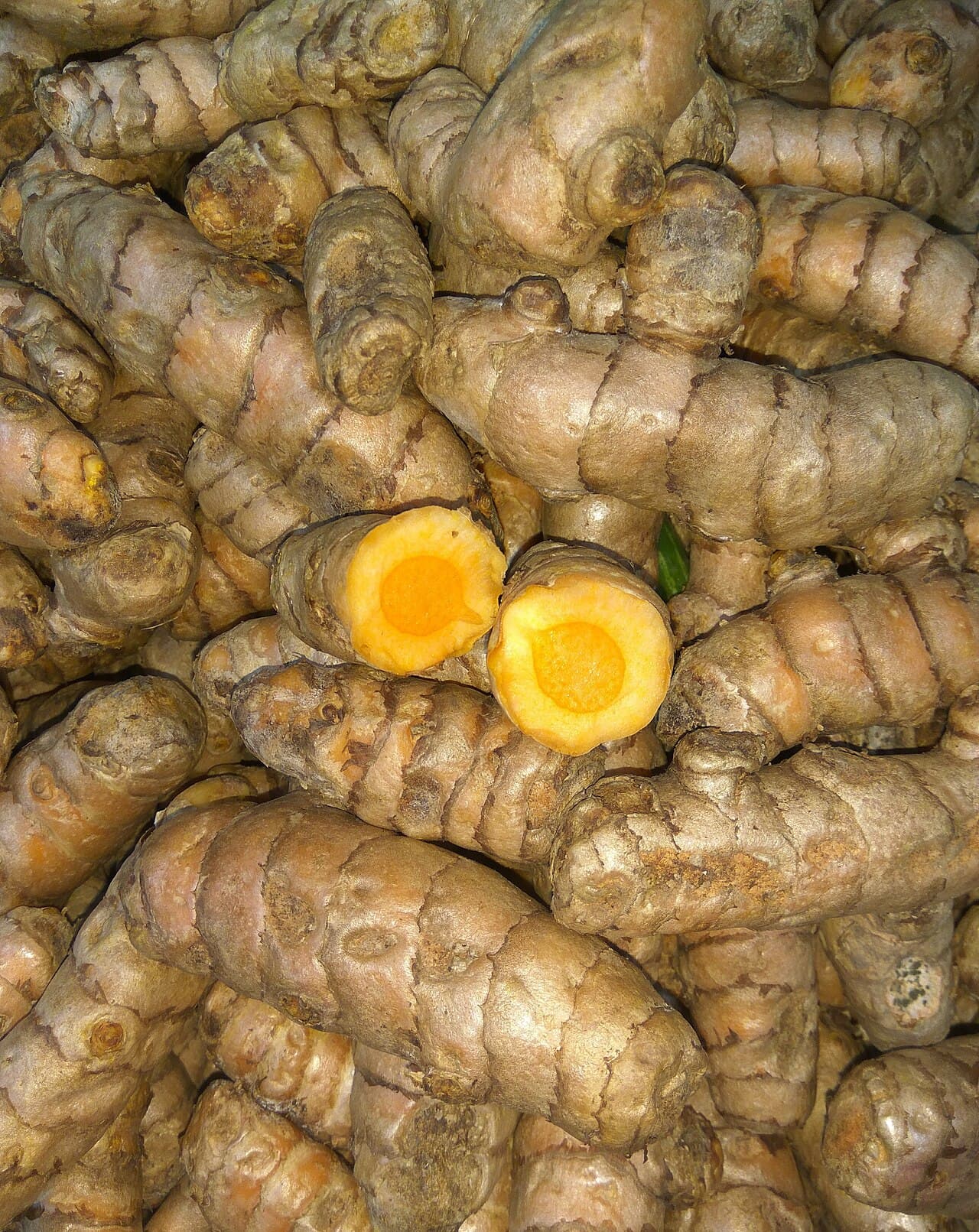 Curcuma
