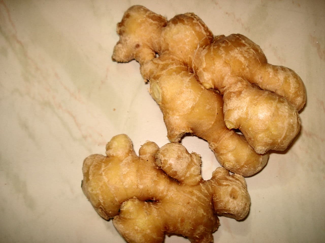 Racine de gingembre frais