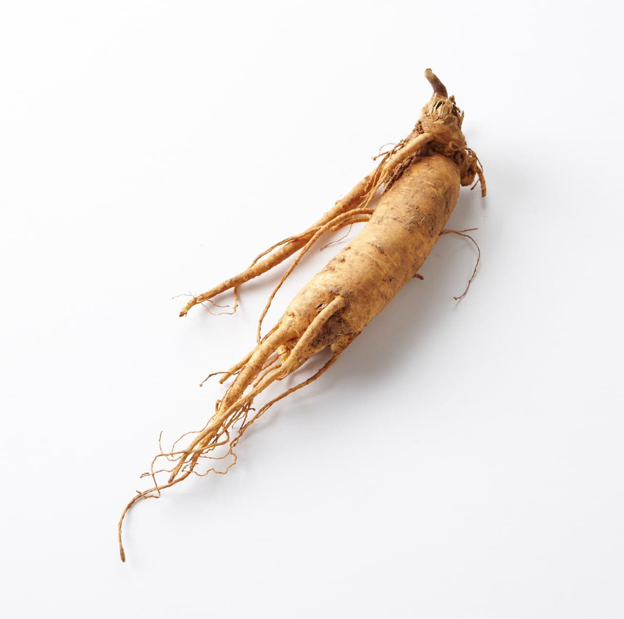 Ginseng et fatigue : ce que disent les méta-analyses récentes