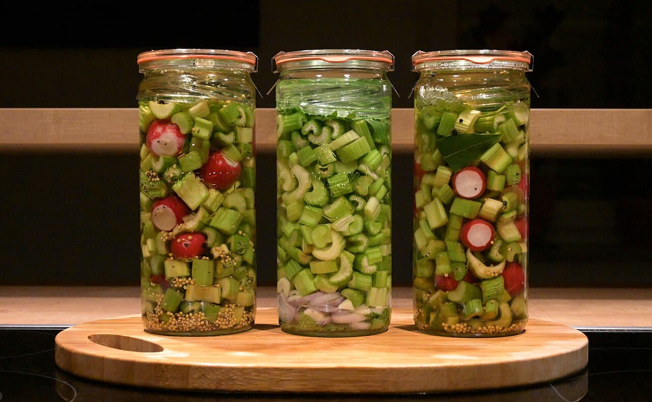 Lacto-fermentation