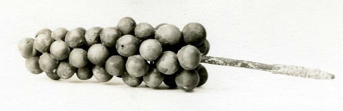 Grappe de raisin