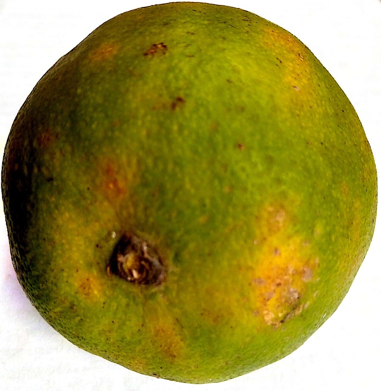 Orange, source de vitamine C