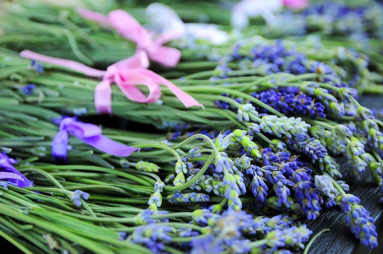 Bouquets de lavande