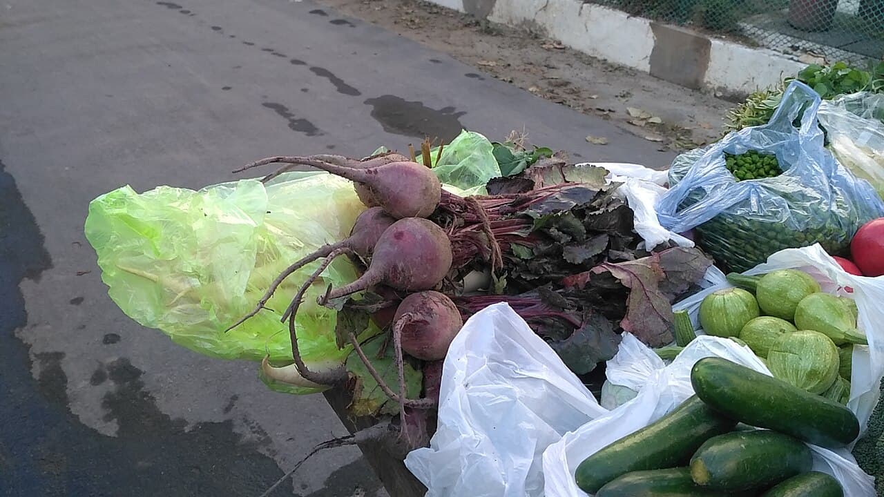 Légumes colorés antioxydants