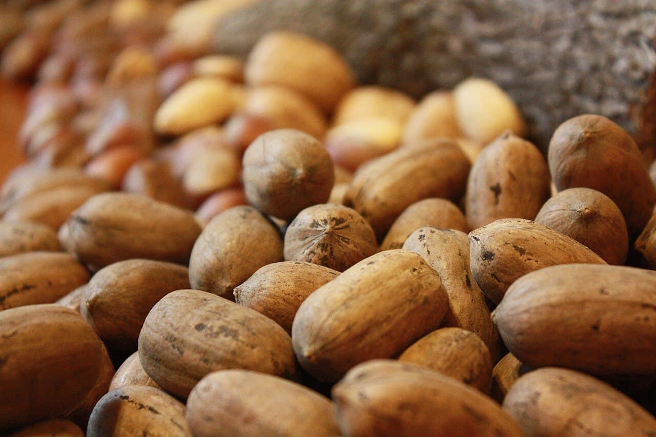 Vitamine E naturelle
