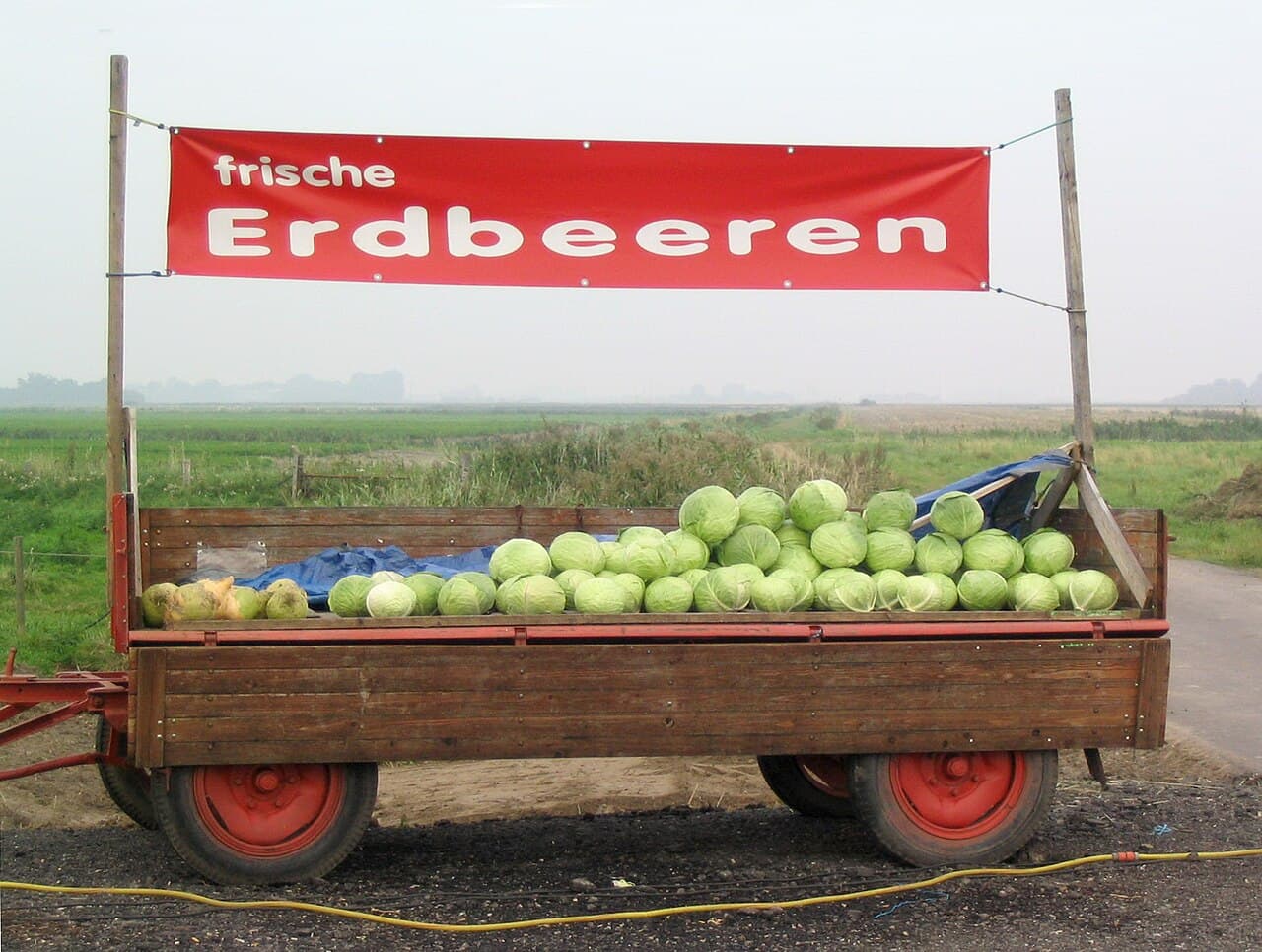 Jus de chou cru et pomme (style Walker)