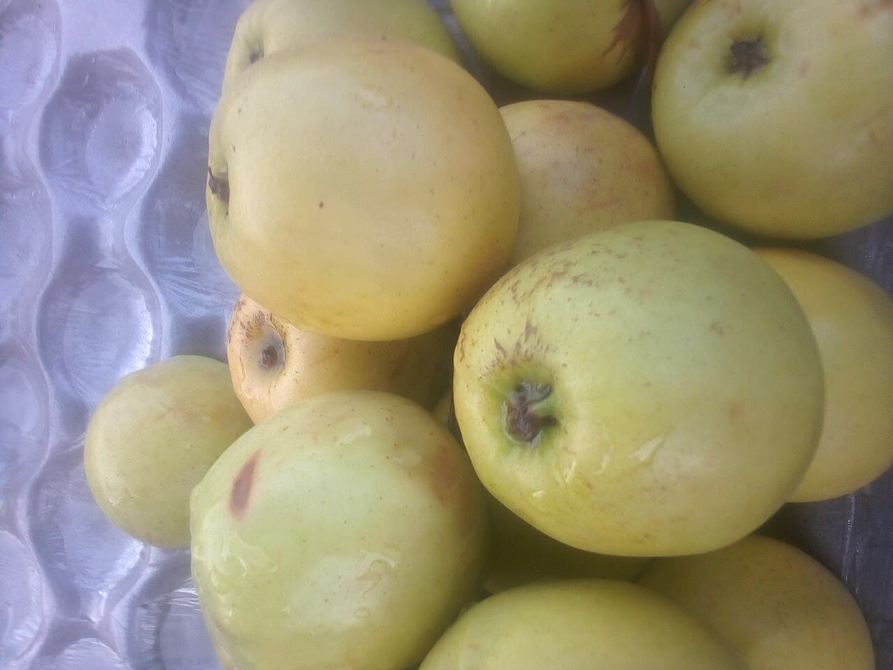 Jus pomme, céleri-branche et fenouil